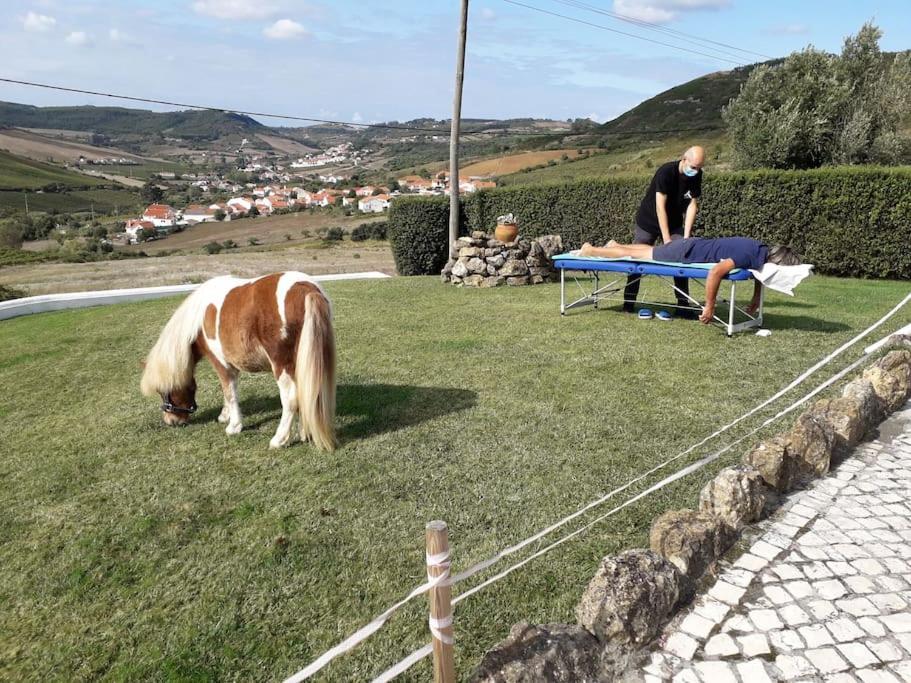 Casinha Da Lareira - Quintinha Dos Cavalos- Arruda Dos Vinhos Eksteriør bilde